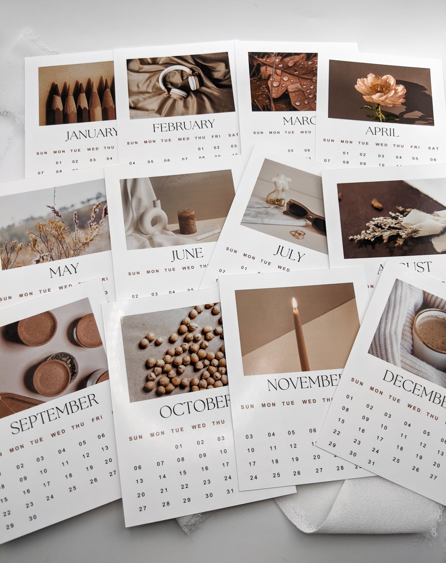 2025 Polaroid Calendar