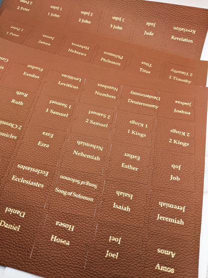 66 Faux-Leather Brown Bible Tabs